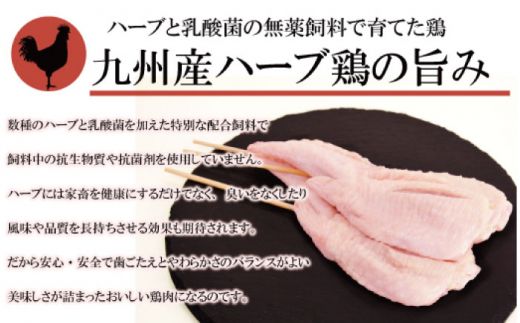 【3回定期便】【おうちで 焼き鳥 屋さん！】 串焼き 盛り合わせ 6種類 30本セット 南島原市 / ふるさと企画 [SBA024]