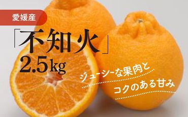 不知火（生果2.5kg）｜柑橘 みかん ミカン 蜜柑 果物 フルーツ 愛媛県 伊方町産 でこぽん デコポンと同品種　※離島への配送不可　※2025年2月上旬～2月下旬頃に順次発送予定