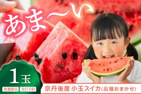 【先行予約】みんな大好き！甘～ぃ！シャリ美味！！京丹後産小玉スイカ！！1玉（ひとりじめ、姫甘泉、ひめまくら、砂丘たまごから1種類）（2025年7月上旬～発送）　YK00141