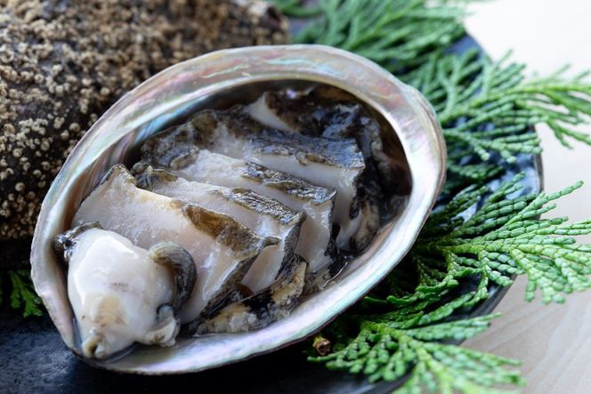 【数量限定】活黒あわび（養殖）NA00002