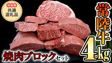 【 常陸牛 】焼肉 ブロックセット合計 4kg（茨城県 共通返礼品 製造地：守谷市）  国産 焼き肉 牛肉 やきにく ブランド牛 肉 サーロイン キャンプ [BX90-NT]