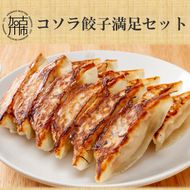 コソラ餃子満足セット《 送料無料 餃子 おうちごはん おかず 惣菜 美味しい ぎょうざ ギョーザ お取り寄せ 冷凍餃子 国産 》【2401I11001】