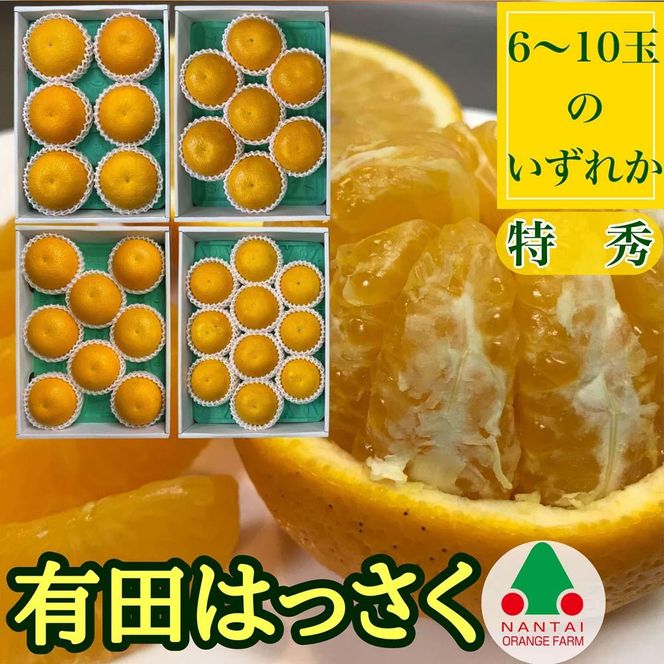 定期便 貯蔵 はっさく ＆ ハウス せとか 全2回 南泰園 特秀 セット みかん   BS200