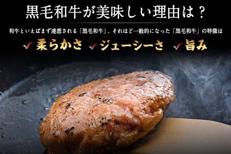 黒毛和牛ハンバーグ150g×10個 絶品 ブランド牛 黒毛和種 有限会社トップルーフ《60日以内に出荷予定(土日祝除く)》---so_ftopkrham_60d_21_28000_1500g---