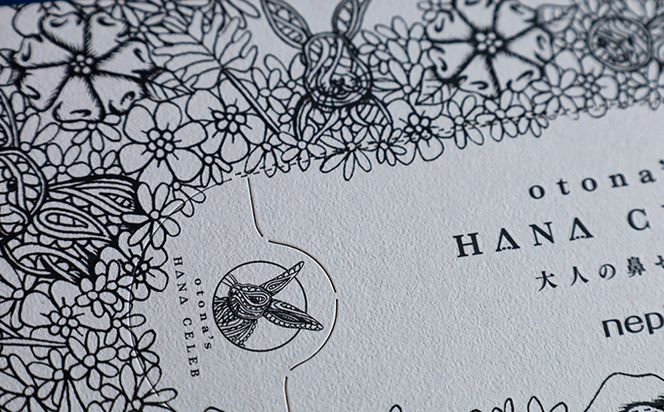 大人の鼻セレブ20箱セット 