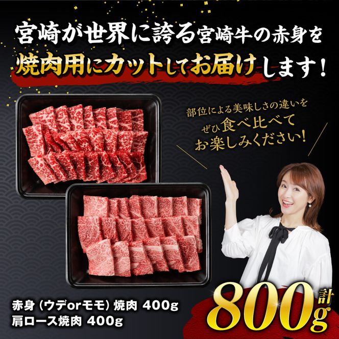 宮崎牛赤身霜降り焼肉2種 800g【肉 牛肉 国産 宮崎県産 宮崎牛 黒毛和牛 和牛 焼肉 BBQ 4等級  A4ランク 肩ロース ウデ モモ E11124】