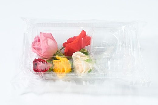 『美を食す』 Nobel Rose 生花MIX 5輪｜通年出荷 食用バラ 薔薇