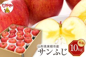 【令和7年産 先行予約】りんご サンふじ 10kg(秀品) 東根市 山形県 東根農産センター提供 hi027-205-2