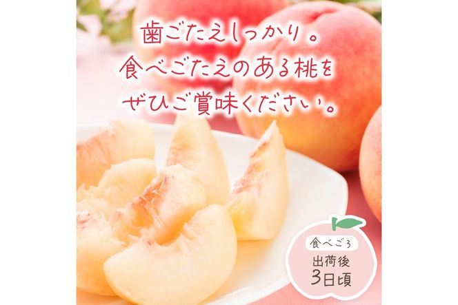【先行予約／数量限定】京都丹後産 桃 約2kg（6～8玉）（2026年7月中旬～発送）歯ごたえのある かための桃 ふるさと 納税 桃 2kg ふるさと 納税 もも モモ 　AM00712