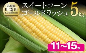 【令和8年発送】宮崎県産とうもろこし　朝どれ！守部さんちのゴールドラッシュ5kg 【 とうもろこし スイートコーン トウモロコシ スィートコーン 令和8年発送 】 [C06408]