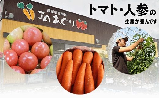 《JA小松市 定期便６ヶ月》季節の野菜詰合せ 054003