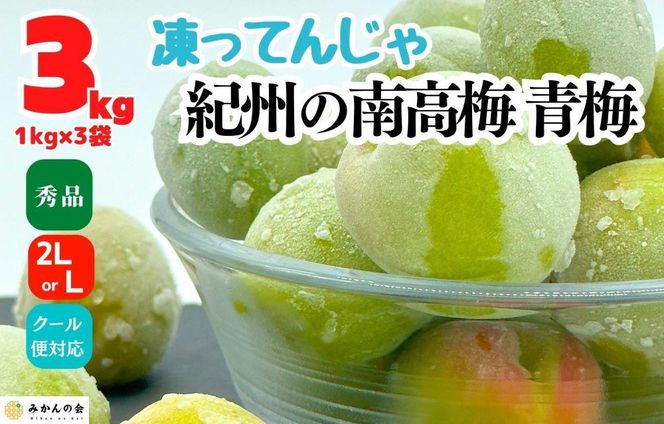 【2026年7月上旬～出荷予定】梅 冷凍 青梅 南高梅 3kg ( 1kg × 3袋 ) 秀品 2L or Lサイズ 和歌山県産 紀州有田  【みかんの会】 AX281