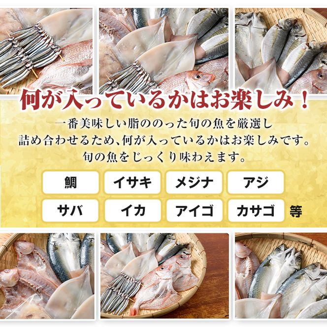 数量限定！阿久根市産の旬の一夜干しグルメ＜B＞セット(鯛・アジ・イカ・サバなど)国産 鮮魚 詰め合わせ お楽しみ 海の幸 魚介類 干物 海鮮【さるがく水産】akn028-18