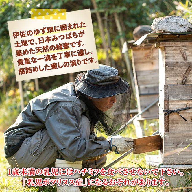 C0-05 ＜数量限定＞伊佐の垂らし蜜(600g・200g×3個) 野生種日本ミツバチが集めた貴重な蜂蜜！ゆず畑に囲まれた地域で採れた爽やかな味わいのハチミツ【ゆず香房】