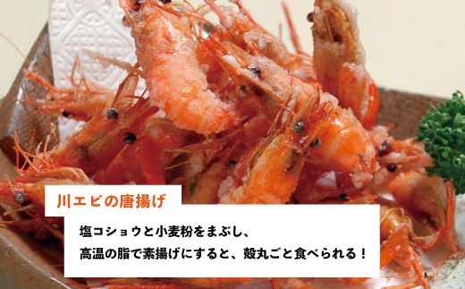 24-480．天然食材！四万十川の天然川エビ 約500g