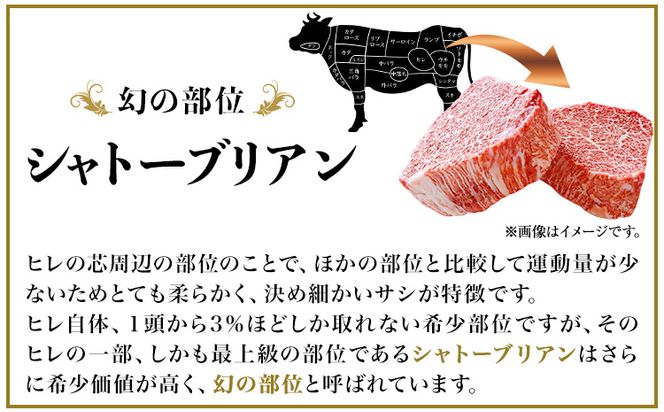 熊野牛A4以上 ヒレシャトーブリアンステーキ 200g(100g×2枚) & 霜降り赤身こま切れ300g 株式会社魚鶴商店《30日以内に出荷予定(土日祝除く)》 和歌山県 日高町 熊野牛 黒毛和牛 A4等級以上 霜降り 肩ロース---wsh_futshssk_30d_23_35000_500g---