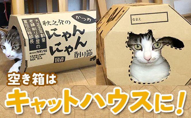 秋之介のにゃんにゃん削り節 2ケース 22g×20袋 株式会社カネソ22 《45日以内に出荷予定(土日祝除く)》猫 ネコ ねこ おやつ 削り節 ねこ用かつお節 ペットフード キャットフード 国産 鰹節 キャットハウス 岡山県 笠岡市---B-22---