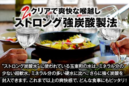 【6か月定期便】強炭酸水6箱（計6回お届け 合計6ケース: 500ml×144本）《お申込み月の翌月から出荷開始》強炭酸水 熊本県玉東町産の水を使用! クリアで爽快な喉越し！くまもと風土の強炭酸水★ストロング炭酸水 ふるさと納税 熊本県 玉東町 炭酸水 水 強炭酸 送料無料 便利 ダイエットしたい方に スポーツ お酒割---fn_gsttei_12l_42000_mo6num1---