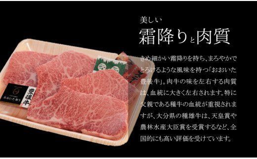 【A01062】百年の恵 「おおいた和牛」 カルビステーキ約400g