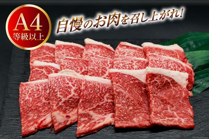 肉 牛肉 宮崎牛 牛うで肉 焼肉用 400g [牛心フードサービス 宮崎県 美郷町 31bm0019] 冷凍 焼肉 ブランド牛 ウデ ウデ肉 うで うで肉 ブランド牛