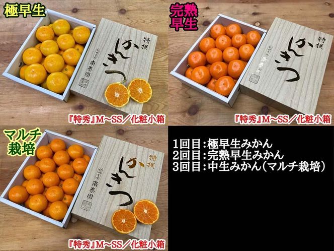 定期便 有田みかん 食べくらべ 3種 化粧小箱 各約 2kg 南泰園 全3回 2024年 10月 発送開始 BS850