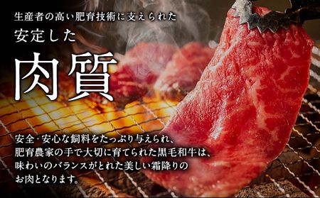 くまもと黒毛和牛 焼肉用 500g 1000g《90日以内に出荷予定(土日祝除く)》 南阿蘇食品---sms_fkmkgyk_90d_23_20000_500g---