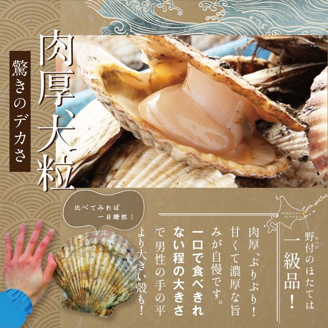 【毎月3ヶ月定期便】北海道 野付産 漁協直送 冷凍ホタテ 貝柱大粒ホタテ500ｇ【be018-0055-100-3】