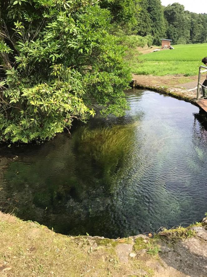富士山の湧き水に抱かれた「ごてんば農家民宿村」のペア宿泊券