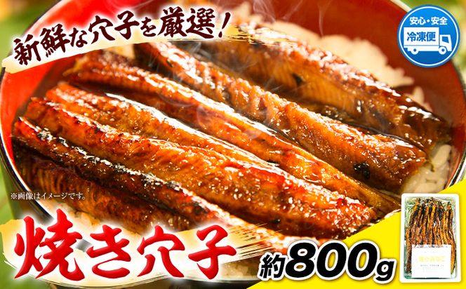 焼き穴子 約800g 笠岡魚市場《45日以内に出荷予定(土日祝除く)》岡山県 笠岡市 穴子 海鮮 魚 お魚---B-04---