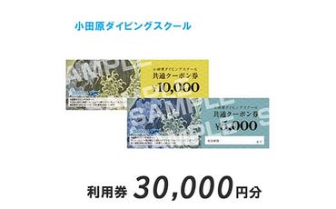 45-1120　小田原ダイビングスクール共通クーポン券 30,000円分