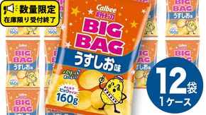 カルビー ポテトチップス BIGBAG 160g うすしお味 1ケース ( 12袋 ) ポテチ お菓子 おかし 大量 スナック おつまみ ジャガイモ じゃがいも まとめ買い 数量限定  [DA002us]