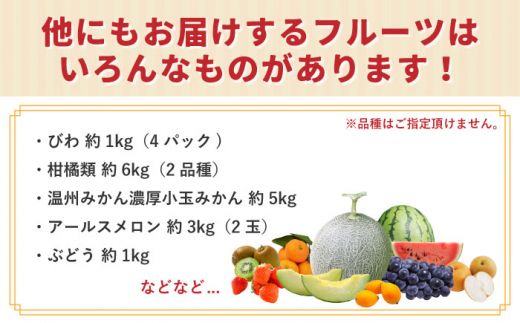 【年6回 旬のフルーツ定期便】旬の果物をお任せで6回お届け みかん ぶどう びわ すいか 梨 いちご メロン キウイなど / 南島原市 / 長崎県農産品流通合同会社 [SCB010]