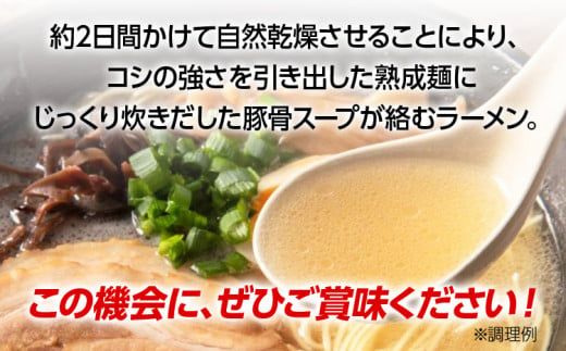 福岡県とんこつラーメン食べくらべ(計12食入り)