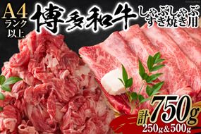 訳あり 博多和牛 A4以上 しゃぶしゃぶ すき焼き スライス 250g & 切り落とし 500g 計750g【部位おまかせ】/ MEAT PLUS / 福岡県 筑紫野市 [21760211] 牛肉 和牛 黒毛和牛 冷凍