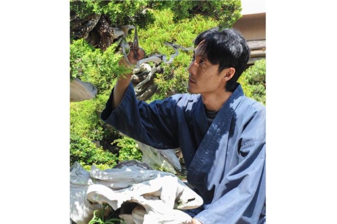 ふるさと納税限定 園主 秋山実と選ぶ 盆栽購入チケット 15,000円分 [秋山園 山梨県 韮崎市 20740910]