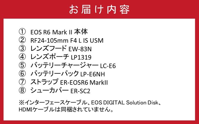 キヤノンミラーレスカメラ EOS R6 MarkⅡ（RF24-105L IS USM レンズキット）_0038C
