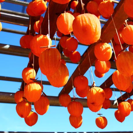 【山梨県産】甲州百目柿 ころ柿（中箱16個入)  枯露柿 干し柿 ほし柿 ドライフルーツ 山梨 やまなし 甲州 富士川町【B6101】