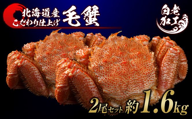 ykCVzъI {Cς Ⓚ 2Zbg 1.6kg  BM285