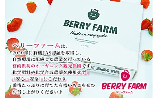 ＜宮崎県産 プレミアム有機いちご大粒12~15粒＞※入金確認後、2026年1月下旬～3月上旬までに順次出荷