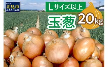 【予約：2024年10月中旬から順次発送】玉葱 20kg Lサイズ以上 ( 玉ねぎ たまねぎ 野菜 20キロ 期間限定 ふるさと納税 玉ねぎ生産量日本一 北見市産 )【148-0007-2024】