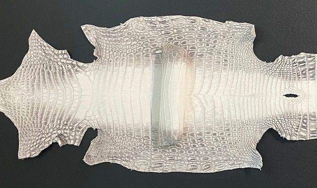 本物を日常に《ヒマラヤクロコダイルのペンケース》BT-7