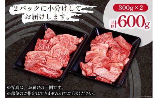 宮崎和牛 切り落とし 焼肉 600ｇ [道の駅「日向」物産館 宮崎県 日向市 452060795] 切落し きりおとし 牛肉 黒毛和牛 宮崎県産 焼き肉