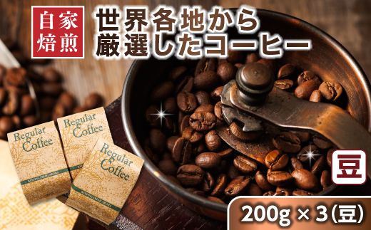 コーヒー セット 200g×3個  豆 | ベンデドール 自家焙煎 コーヒー豆 珈琲豆 珈琲 豆 店主おまかせ プレミアム 年内配送 年内発送 北海道 釧路町 釧路超 特産品　121-1201-39