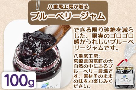 ＜ベーグル プレーン 5個 ＋ ブルーベリージャム＞翌月末迄に順次出荷【a0447_kp_x1】