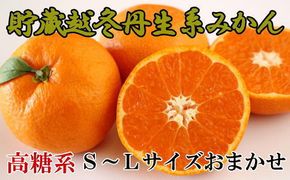 【高糖系】貯蔵越冬丹生系みかん約5kg（S～Lサイズおまかせ）★2025年2月下旬頃より順次発送 BZ071