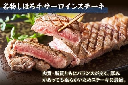 北海道 しほろ牛 サーロイン ステーキ 200g前後 1枚 ＆ しほろ牛 ハンバーグ150g 2個 セット 肉 牛 赤身肉 国産牛 肉 ビーフ 牛肉 冷凍 お取り寄せ 送料無料 十勝 士幌町【L11】