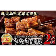 うなぎの大楠＜大＞2尾セット計300g(150g×2) a5-244