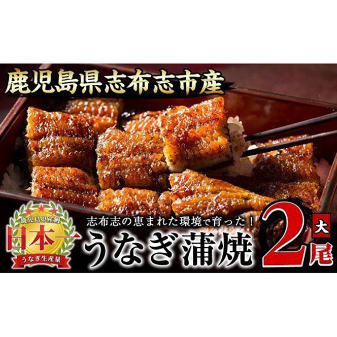 yuzuszȂ̑큃偄2Zbgv300g(150g×2) a5-244