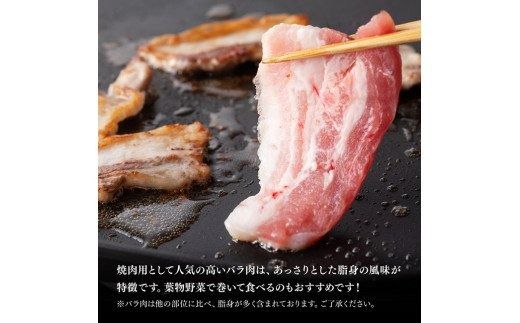 宮崎県産豚バラ焼肉1.5kg【ミヤチク 九州産 豚 ぶた 肉 バラ 焼肉 おうちごはん おうち時間】[D0661]