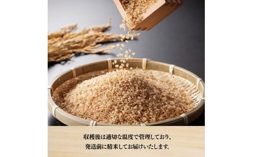 【令和6年産】永友農園産「こしひかり（玄米）」10kg（5kg×2袋）【 米 お米 精米 国産 宮崎県産 コシヒカリ 玄米 】[D10605]